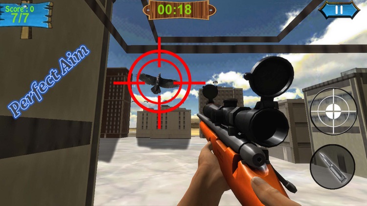 Ultimate wild crow hunter: birds sniper kill shot
