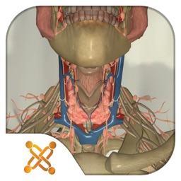 USCAP Thyroid Biopsy Sim