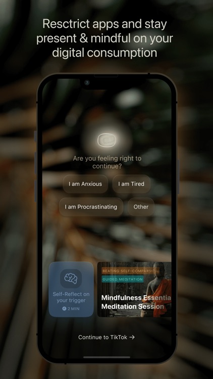 Materia Mood Tracker & Journal screenshot-4