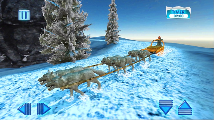 Uphill Dog Sledding Transport & Cargo Delivery Sim screenshot-3