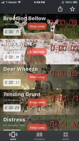 Game screenshot Deer Calls for Whitetail apk