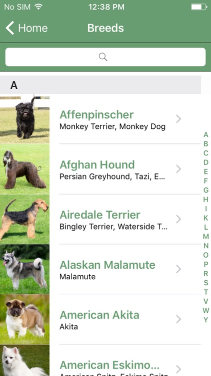 What Dog A Microsoft Garage Project