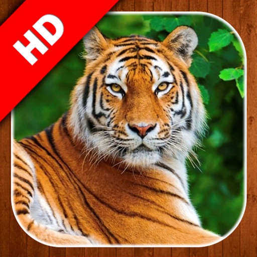 Animals Learning iOS App