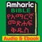 Icon Amharic Bible Audio and Ebook