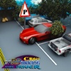 Car Parking School Sim 2017 Pro: Stunt Driver Test