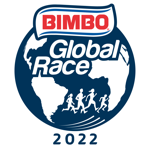 GER Global Energy Race