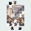 Jigsaw Puzzle - 2022