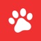 •Dogalize is the Best Social Network dedicated to our 4-legged friends