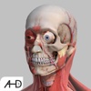 Muscle & Skeleton & Bone : 3d anatomy & physiology