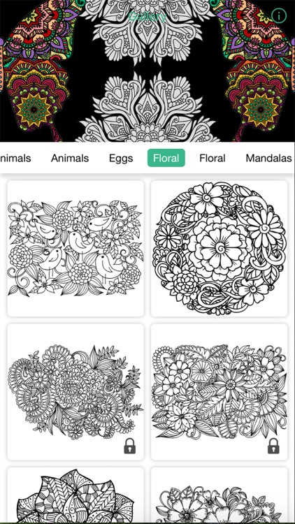 ColorfulDude - Coloring Book for Adults