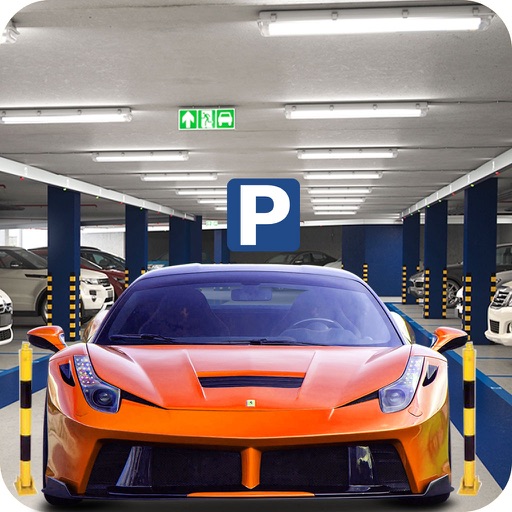 Multi-Level Simulator Car Parking icon