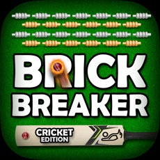 Activities of Brick Breaker CRICKET Edition