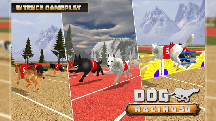 Dog Racing  3D screenshot-3