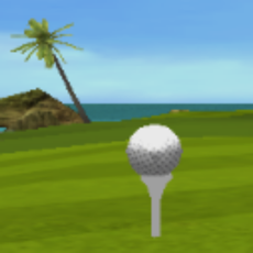 Activities of Flying Golf 3D