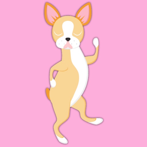 Boston Terrier Shuffle Blonde iOS App