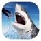 Shark Attack 3D : Hungry White Shark at Beach