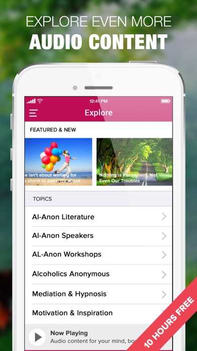 Screenshot #3 pour Alanon Audio Companion