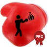 Boxing Challenge Workout PRO