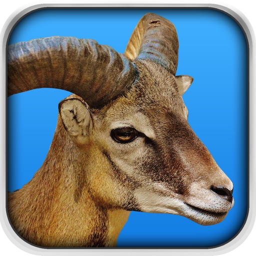 Goat Fight Simulator iOS App