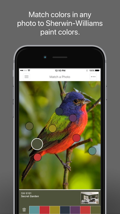 ColorSnap® Visualizer for iPhone screenshot-0