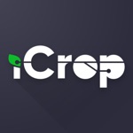 ICrop Engenharia