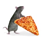 Pizza Rats