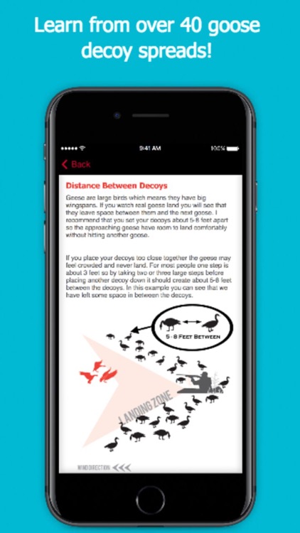 Goose Hunting Diagrams - DecoyPro