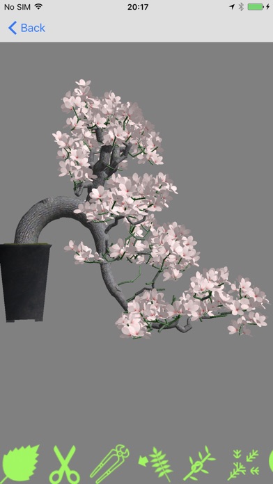 Bonsai Master screenshot 3