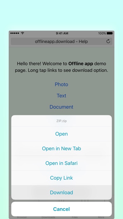 Offline - Files and Web Browser