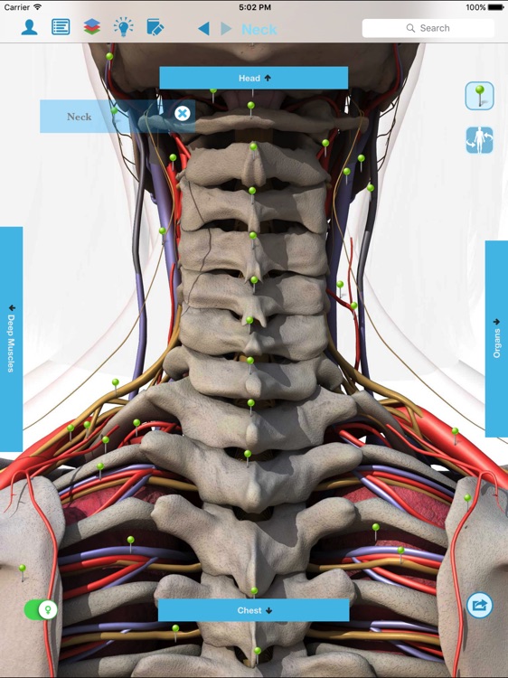 Anatomy & Physiology - anatomy of human body parts screenshot-3