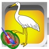 Bird - Animals Coloring Book Painting App for kids