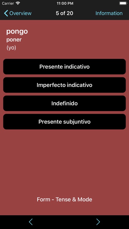 Spanish Verbs & Conjugation screenshot-6