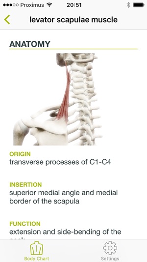 Dry Needling Guide(圖2)-速報App