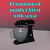 Fermation of maida  with yeast