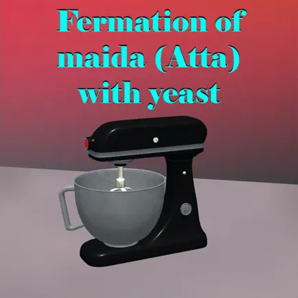 Fermation of maida  with yeast Читы