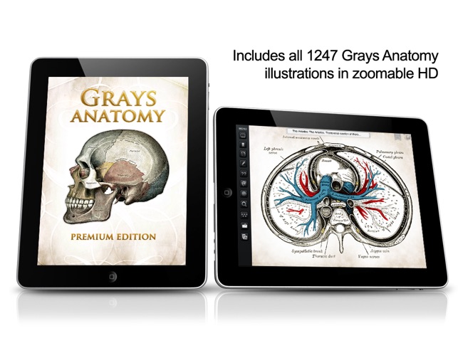 Gray's Anatomy Premium for iPad