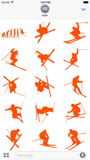 Ski Stickers