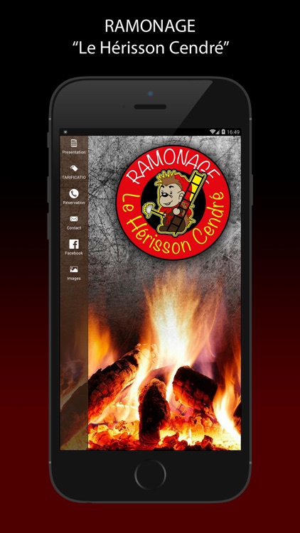 Le Hérisson Cendré