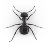 Ants and Bugs - Smash