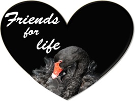 Friendship hearts