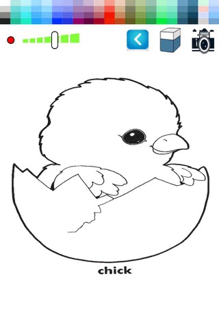 Chicken Hen coloring book for kid and preschool screenshot 2