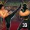 Play the second part of Ninja Revenge: Kung Fu Fighting and continue to protect the world from cruel rivals