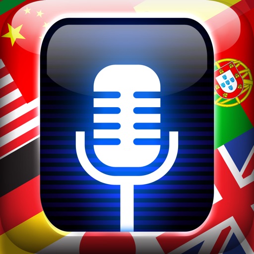 Voice Translate Pro