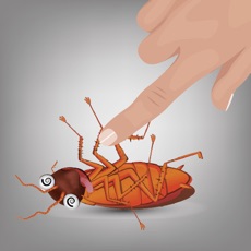 Activities of Cockroaches | صراصير