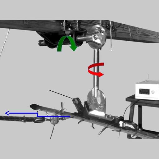 ACL Injury Thresholds & Ski Bindings