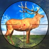 Bow Hunter : Wild Animal Hunt