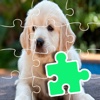 Jigsaw Puzzles Games Dog Version