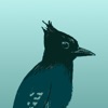 BC Bird Trail App