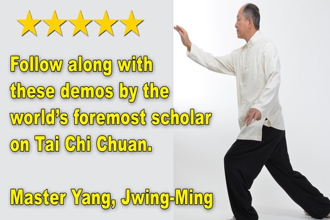 Tai Chi 13 Postures screenshot 4