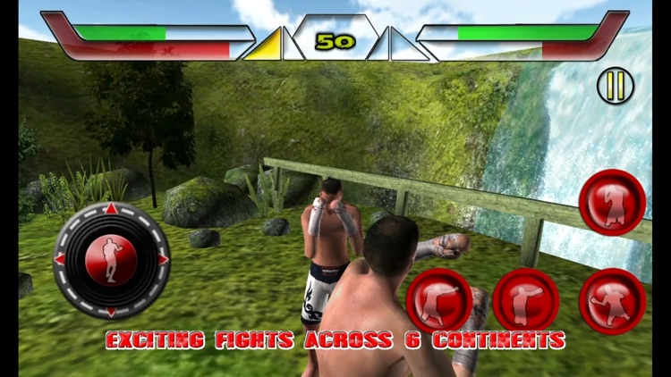 Boxing Fighter Evolution 2015